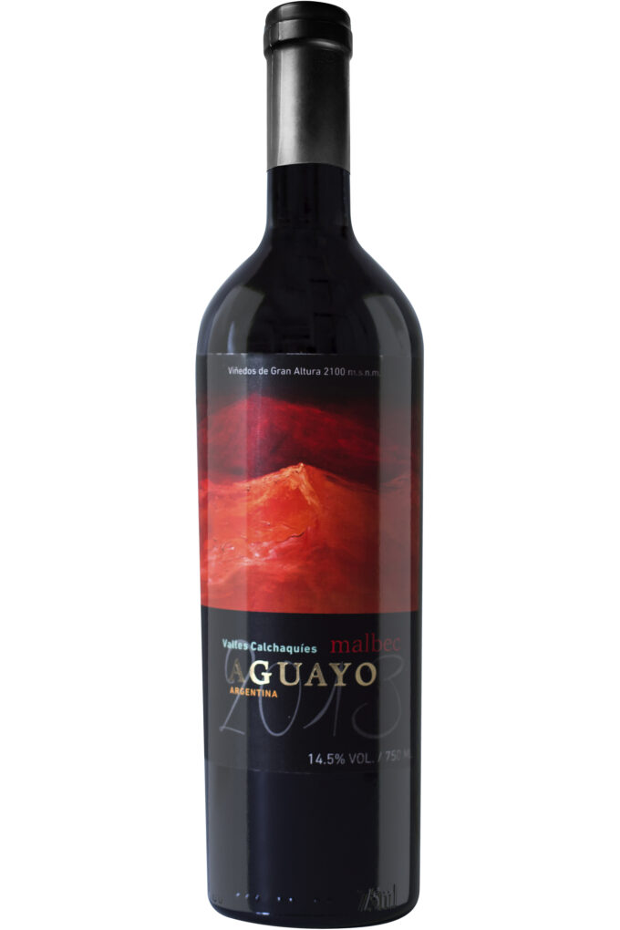 Agustín Lanus Sunal Aguayo