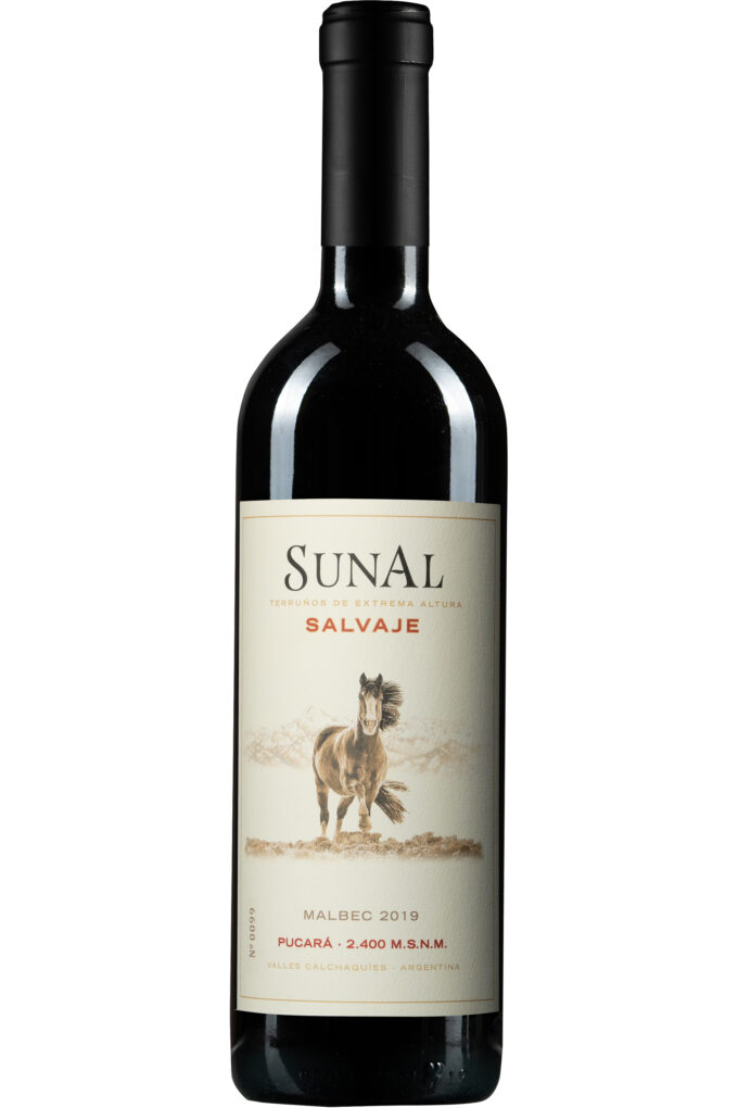 Agustín Lanus Sunal Salvaje Pucará