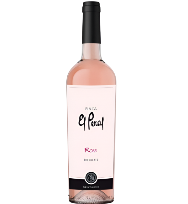 imagen_2025-11-17_183402687-Photoroom