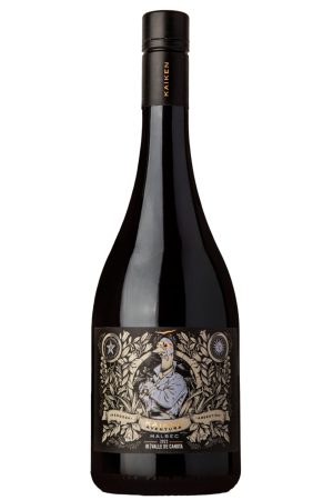 Kaiken Aventura Malbec Valle de Canota