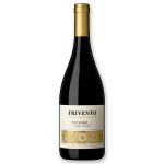 Trivento Established Petit Verdot