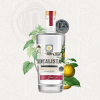 WEB-IMAGEN-PRODUCTO-1000X1000-IDEALISTA-GIN.png