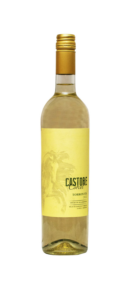 castore-torro-copia.jpg