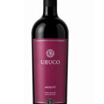 Uruco Merlot – Uruco Wines